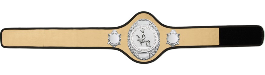 WRESTLING BELT-PRO286/S/WRESTS-10+ COLOURS